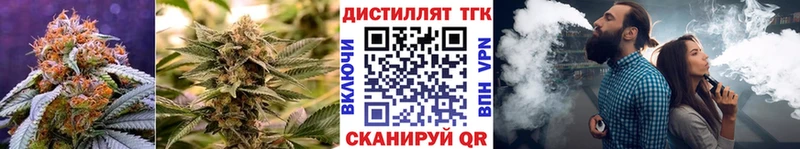 ТГК концентрат Светогорск